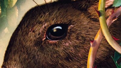 Teaser for Watership Down