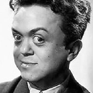 تصویر هنرمند Piéral