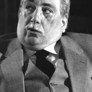 تصویر هنرمند Vincenzo Vitagliano