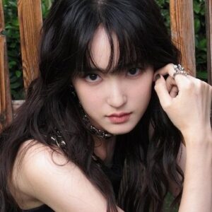 تصویر هنرمند Zhang Wenxin