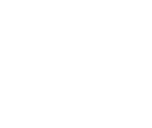 لوگوی رسمی فیلم Soul on Fire (2025)