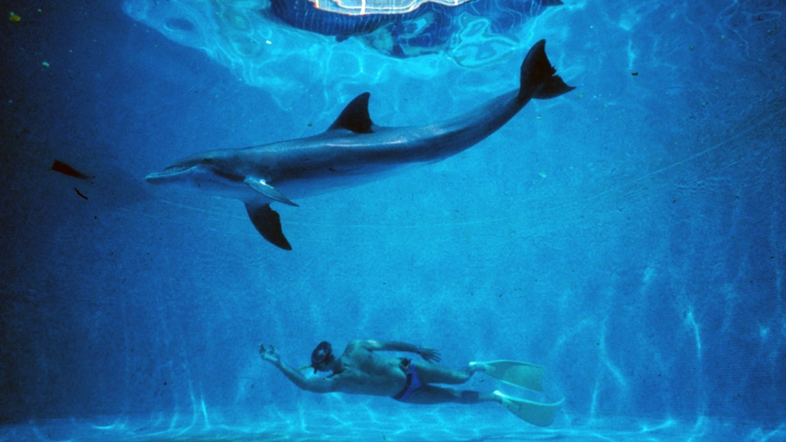 Teaser for The Big Blue