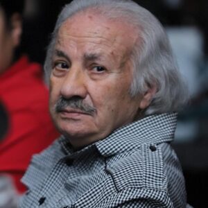 تصویر هنرمند Saeid Pirdoost