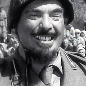 تصویر هنرمند Nino Vingelli