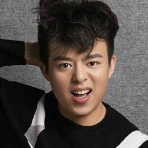 تصویر هنرمند He Huan