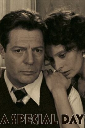 پوستر رسمی فیلم A Special Day (1977)