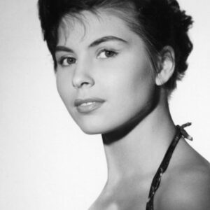 تصویر هنرمند Dominique Boschero