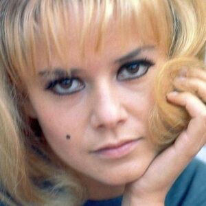 تصویر هنرمند Sophie Daumier