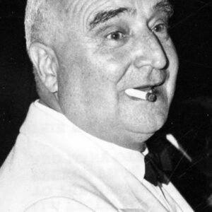 تصویر هنرمند Angelo Rizzoli