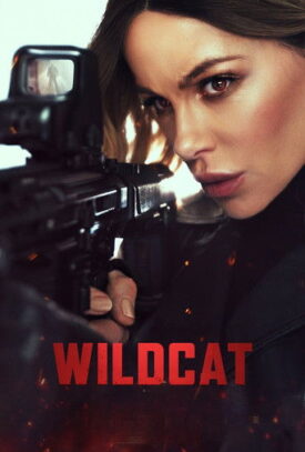 پوستر رسمی فیلم Wildcat (2025)