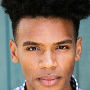 تصویر هنرمند Armand Fields