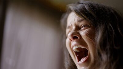 Teaser for The Grove