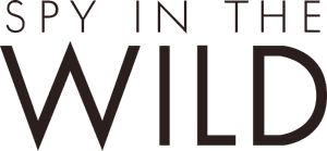 لوگوی رسمی سریال Spy in the Wild (2017)