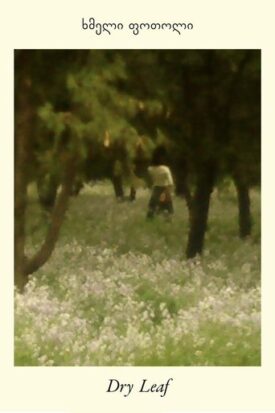 پوستر رسمی فیلم Dry Leaf (2025)