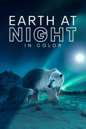 پوستر رسمی سریال Earth at Night in Colour (2020)