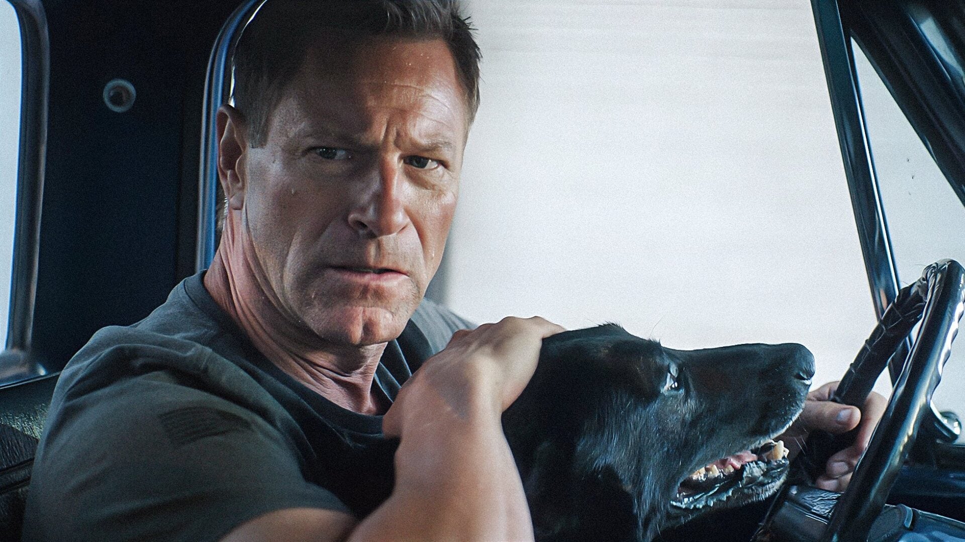 Teaser for Muzzle: City of Wolves