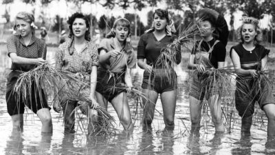 Teaser for Bitter Rice