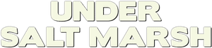 لوگوی رسمی سریال Under Salt Marsh (2026)
